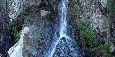 Darwin Falls